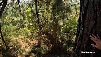 Pov Public Sex With A Hot Babe In The Woods