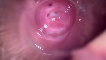 Intense Close-Up Of A Young Woman'S Orgasmic Pleasure